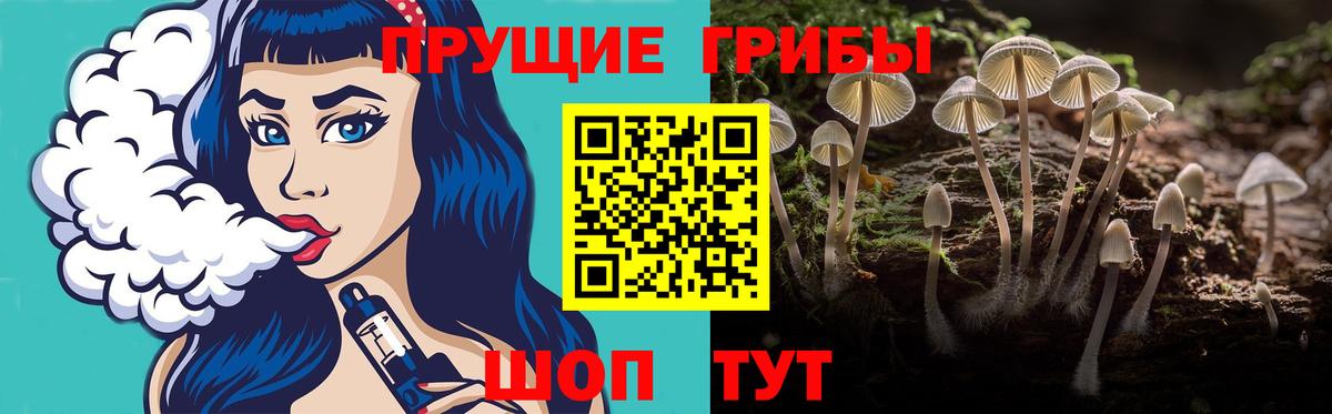 Реутов  Галлюциногенные грибы Magic Shrooms  Вход с VPN 